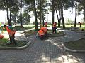progetto di manutenzione del verde
